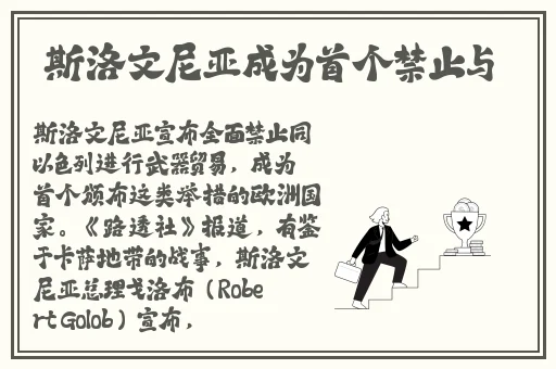 沈娜娜苏语棠特工姐妹
